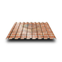 Профлист С17-1150-0.5 Кирпич ECOSTEEL