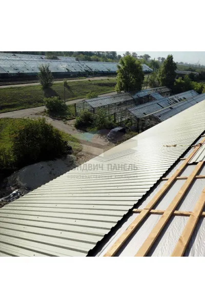 Профнастил МП20-1100-0.45 RAL9010 Полиэстер